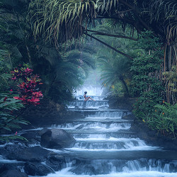 Chasing Waterfalls in Costa Rica - Jess Wandering